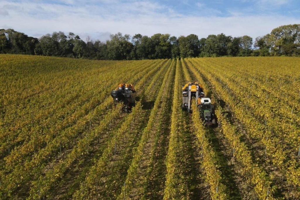 Última tecnología en viticultura.