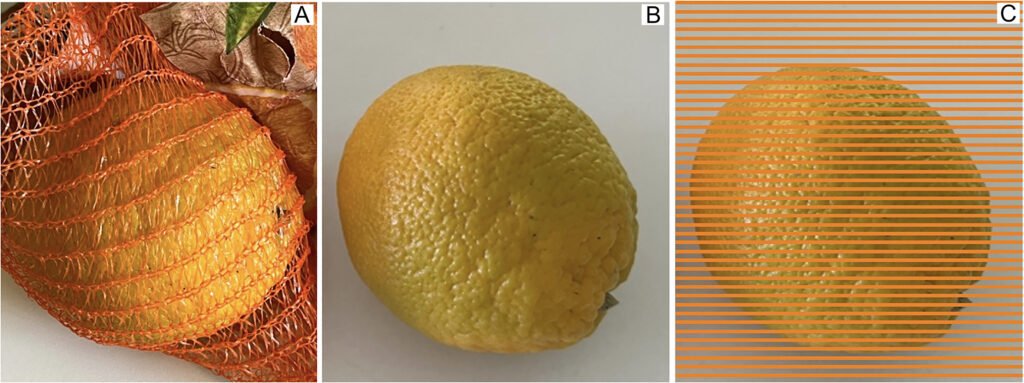 Comparativa visual del contraste de colores.